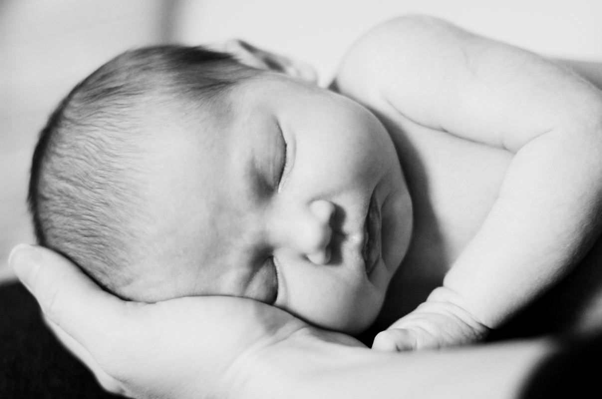 http://sarahsloboda.com/wp-content/uploads/2012/01/sloboda_newborn_photos_02.gif