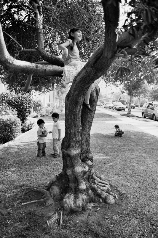 http://sarahsloboda.com/wp-content/uploads/2012/03/kids_in_tree.jpg