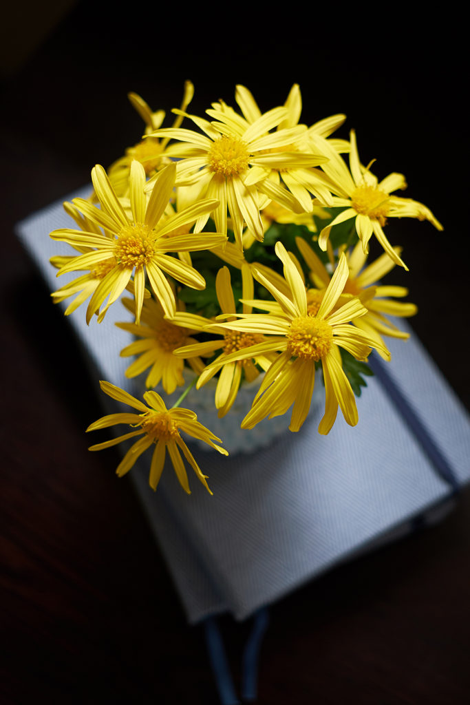 photography books inspiration still life flowers