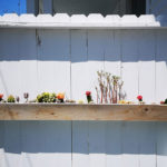 venice california photographer